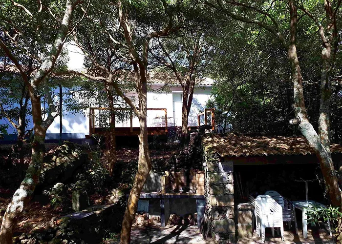 Quinta de São Caetano - São Miguel Açores