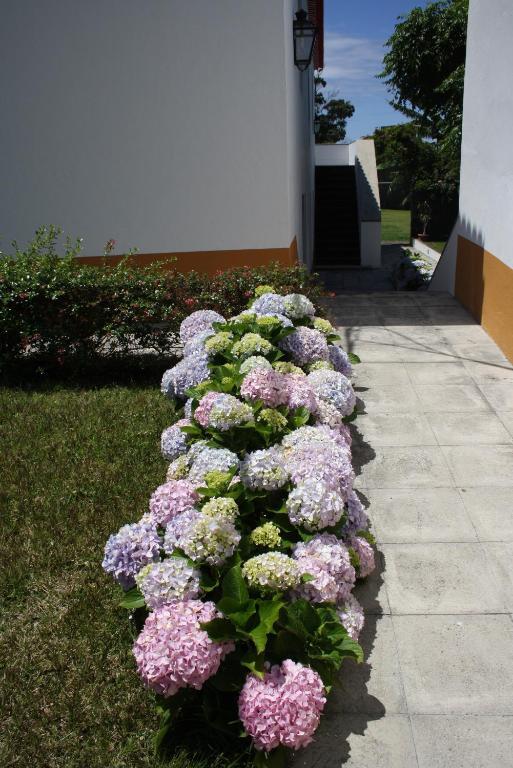 Quinta De São Caetano - São Miguel Açores * Populo (Sao Miguel)